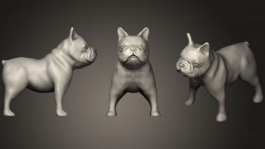 3D model French Bulldog2 (STL)